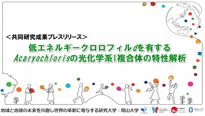 低エネルギークロロフィルdを有するAcaryochlorisの光化学系I複合体の特性解析〔静岡大学、岡山大学、理化学研究所〕