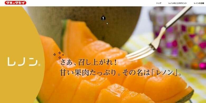 安定的に生産可能な赤肉「レノン」メロン誕生ストーリー　－メロンの消費拡大へ－