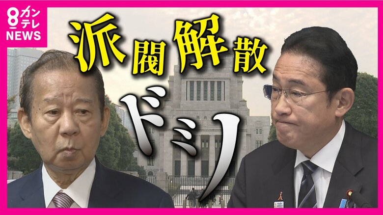 派閥解散ドミノか　自民党派閥パーティー問題　なぜ幹部議員の立件がない？　「連座制を」元検事の弁護士が解説｜FNNプライムオンライン