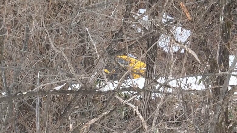 長野・白馬村でスノーモービルが横転　同乗のオーストラリア国籍とみられる8歳ぐらいの女の子死亡｜FNNプライムオンライン