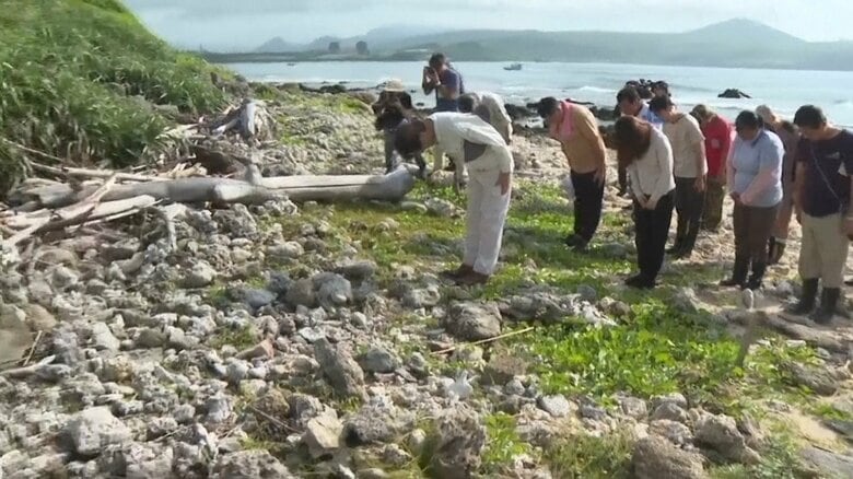 台湾で日本人戦没者の遺骨調査始まる　1975年以来、約50年ぶり｜FNNプライムオンライン