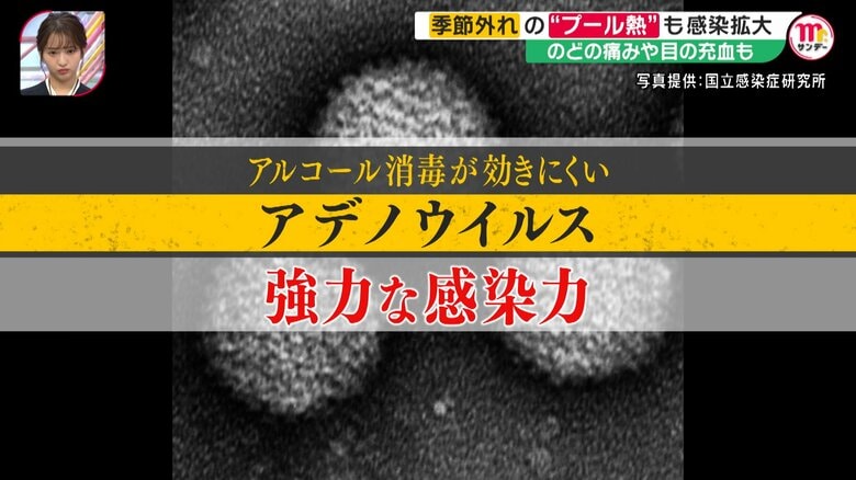 伊藤院長によると「大人も感染するケースが散見されるのが今の特徴」だという