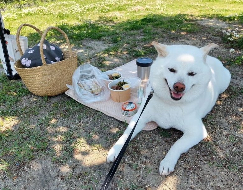 提供： kinako_kinakoさん