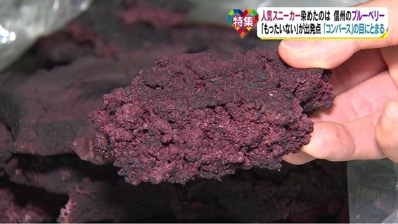 「艶金」で乾燥させ水分をとったブルーベリーの搾りかす