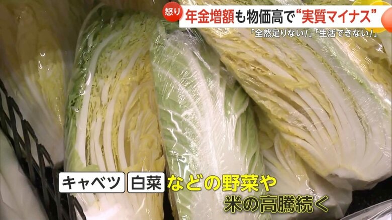 価格高騰が続いているキャベツや白菜などの野菜