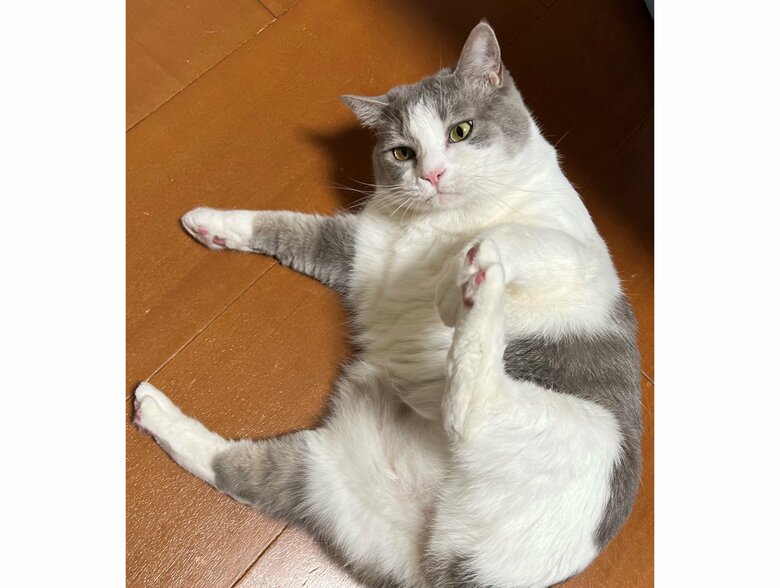 足を広げてスタンバイ（提供：いずもん/まろ様さん）