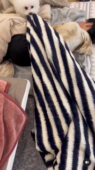 提供：エマ emmaさん