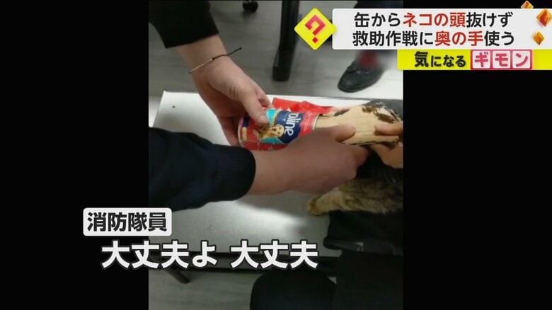 缶にはまってしまったネコにやさしく声をかける女性隊員