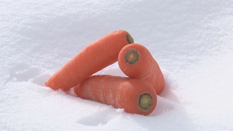 雪下にんじん
