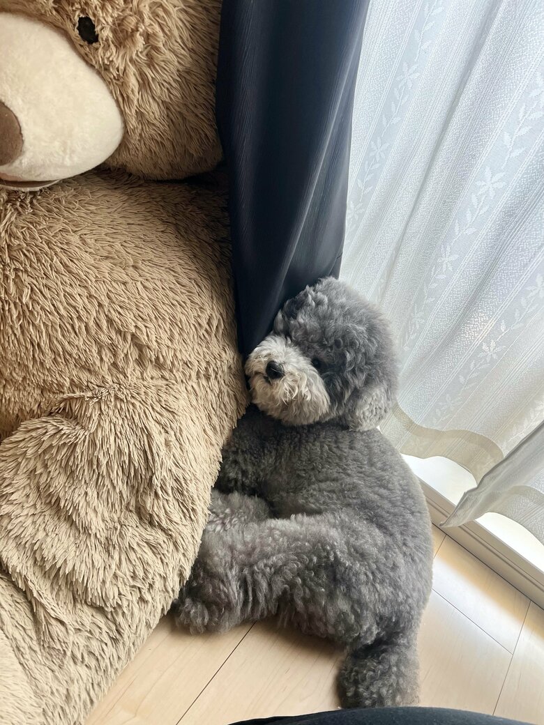 提供：レノン&れあるさん