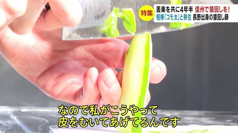 キュウリの皮をむく