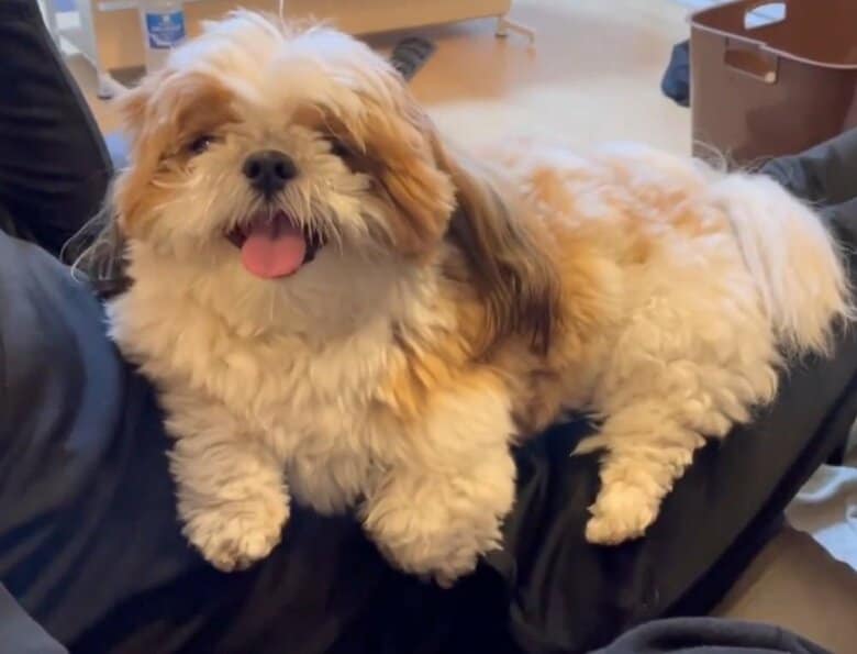 笑顔のぽこくん