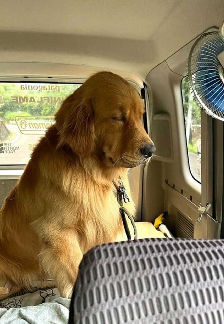 帰りは車に揺られてウトウト