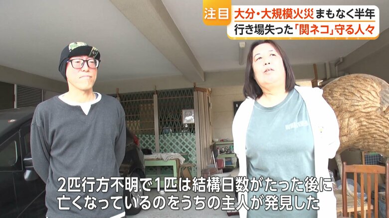 被災したのは人間だけではなく…