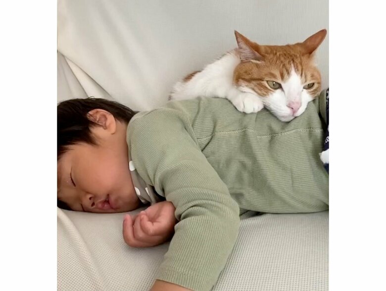 提供：Hassakuさん