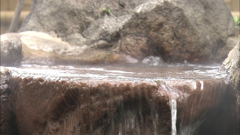 「温泉大賞」に芸能人が続々 ダチョウ倶楽部も登場