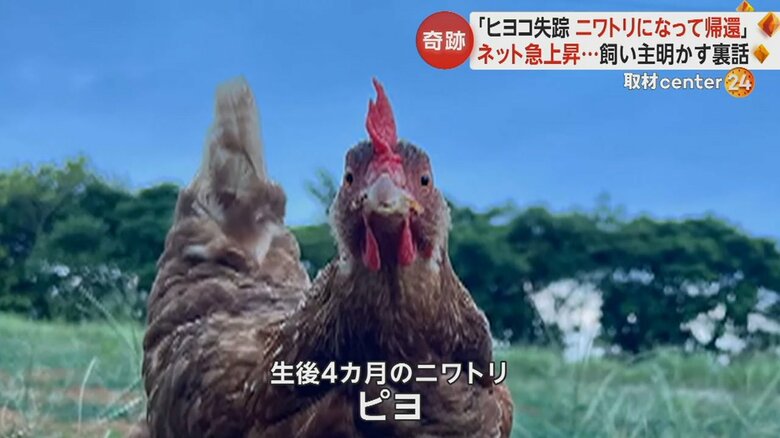 （とくのしま伊仙まちづくり協同組合 大保健司）