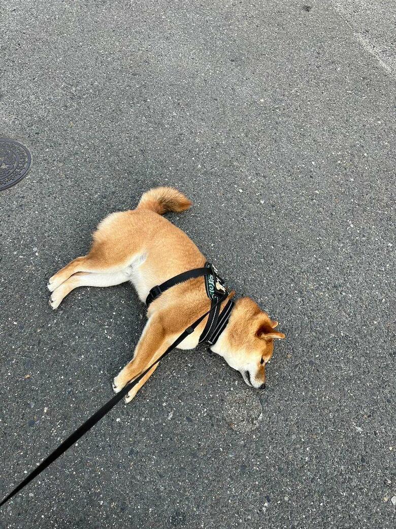 提供：カンさん