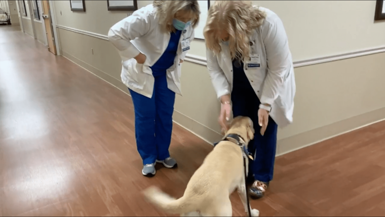 医師らと遊ぶバフィ　一躍、病院の人気者に