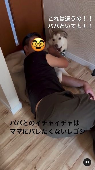 提供：キャプテン・レゴシさん