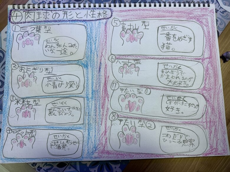 娘さんがつくった、肉球の形と性格のまとめ