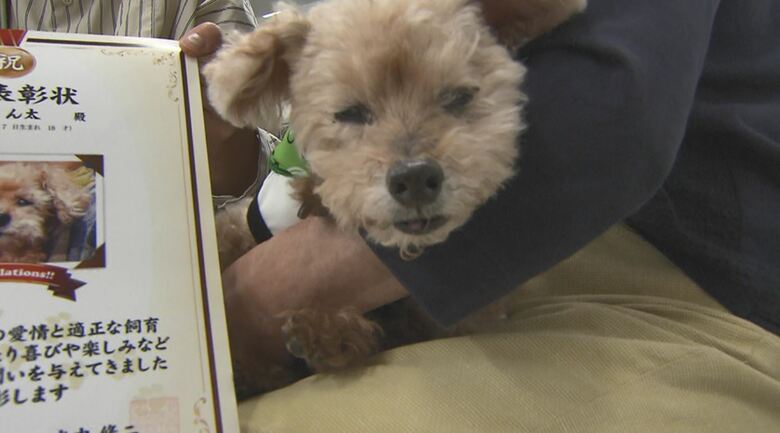 ご長寿犬