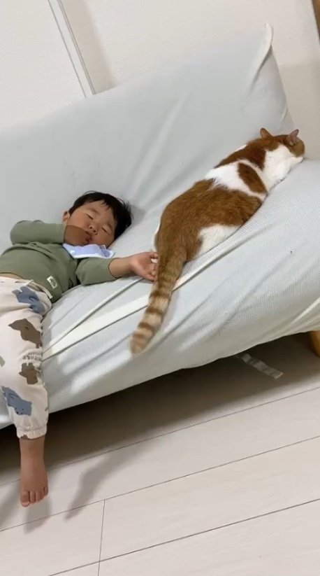 提供：Hassakuさん