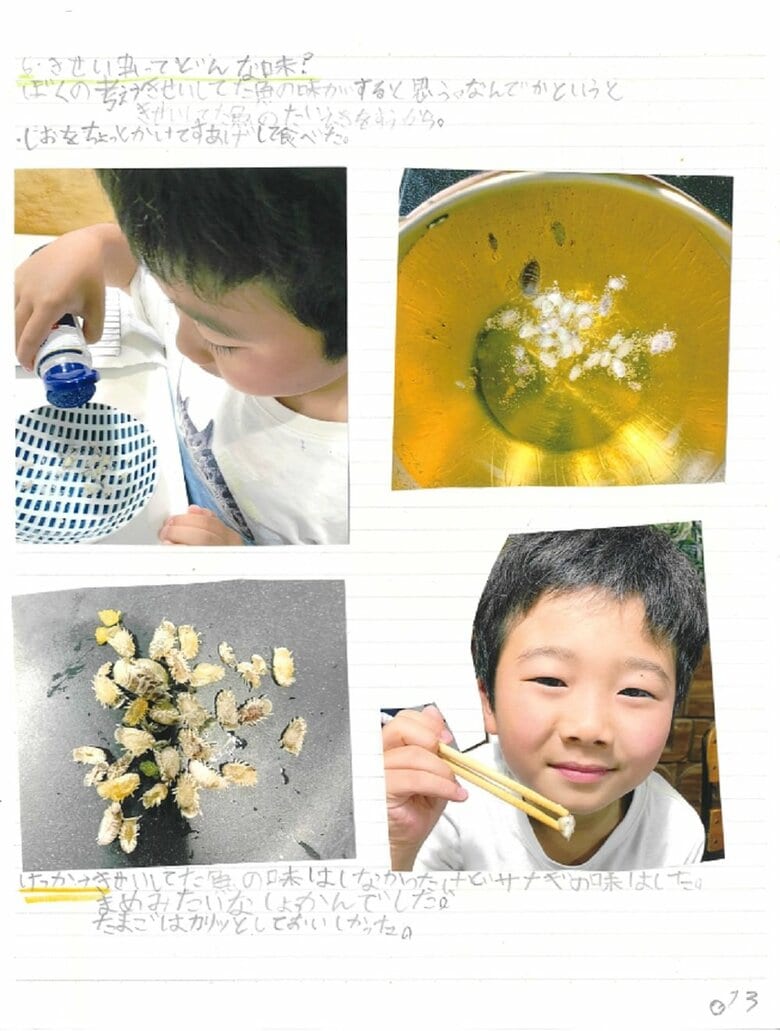 13ペ－ジ目（サヨリヤドリムシでしらべてみた・どんな味？）