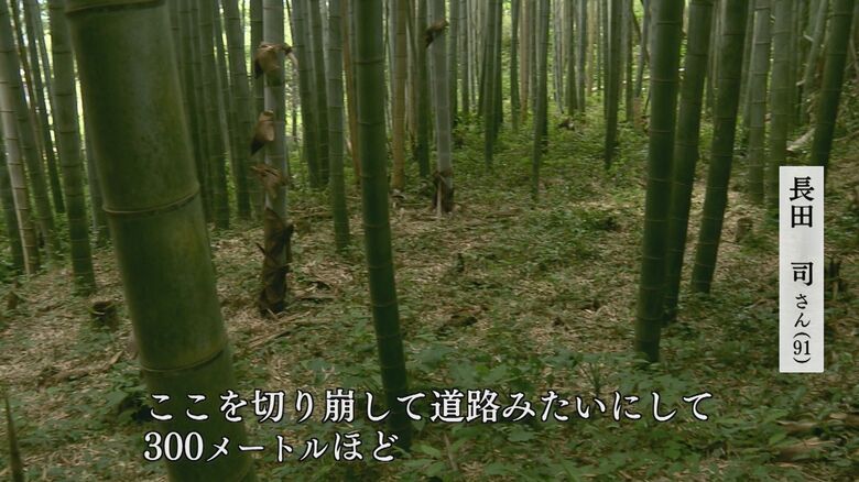 かつての駐機場　今は竹やぶに