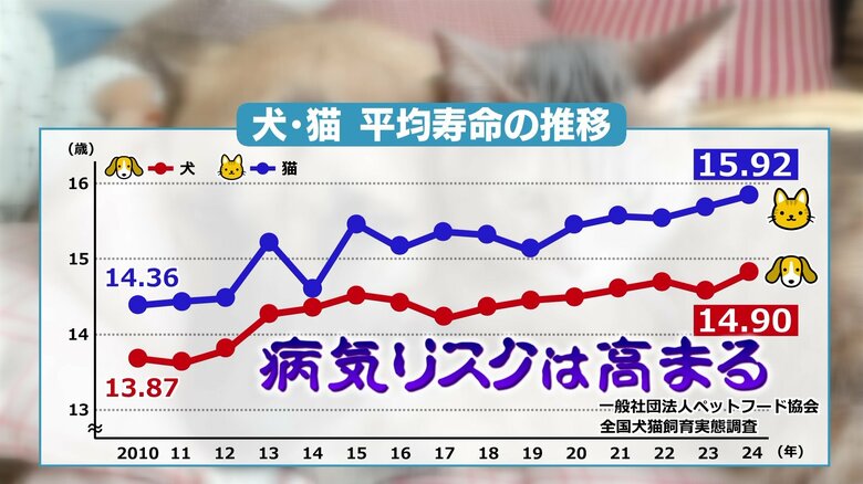 平均寿命の推移