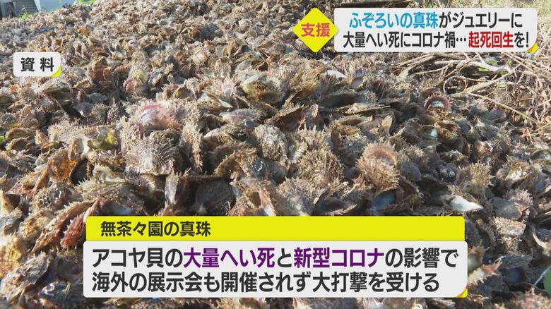 アコヤ貝の大量へい死で打撃