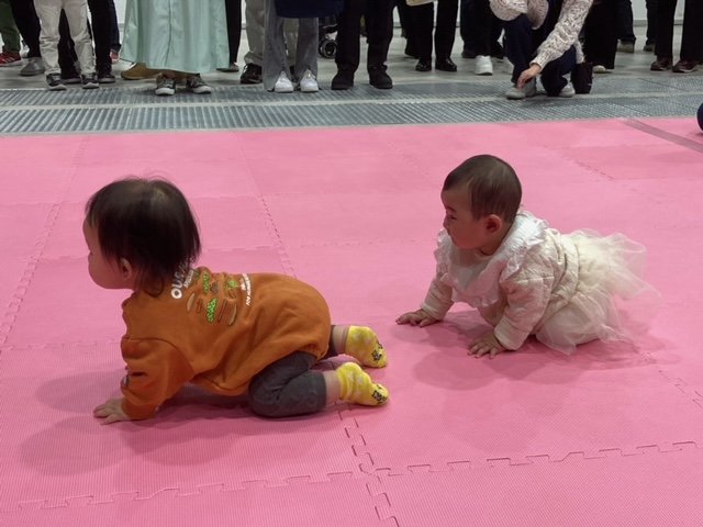 2024年の「Harufes」から