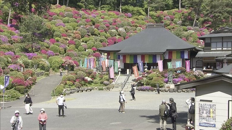 現在の護摩堂、周り一面つつじに囲まれている