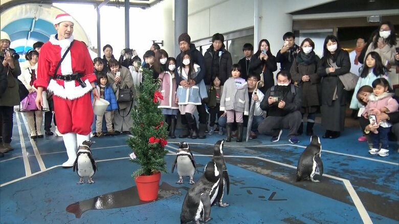 石川県七尾市「のとじま水族館」（2023年12月24日）