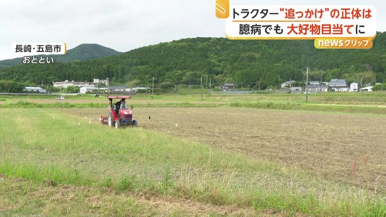 田植えを間近に控えた田んぼを耕すトラクター（20日、長崎・五島市）