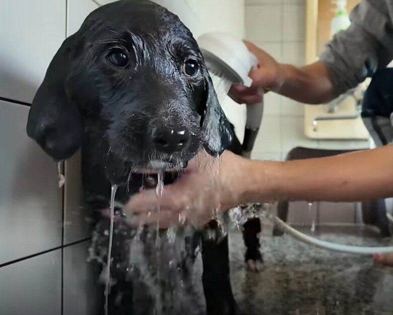 お風呂がちょっと苦手な子