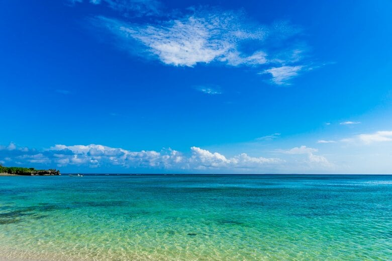 【男の子】不安を払拭させるかのようにすがすがしく平和なイメージの名前が人気に