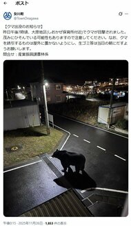 女川町“クマ画像”は「生成AIのフェイク」公式X300万回表示→訂正　目撃情報も虚偽と判明〈宮城〉