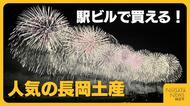 【長岡土産】マツコ絶賛のかまぼこにSNSでバズった和菓子…長岡駅で出会える”長岡の味”