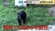 “空白地”にも出没するクマ 「夢にも思わなかった」と目撃者 去年まで目撃なし→36件の目撃情報 「市役所は何もしないのか!」ノウハウ足りず対応に苦慮