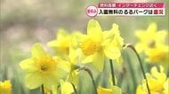 ガソリン高騰の中　入園無料の「るるパーク」は盛況　多くの客が春の花を楽しむ　大分
