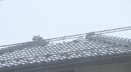 「バーンと瓦が飛んできた」雷が住宅を直撃　ひょうでレタスに穴「一生懸命育てたのにショック」　長野県内で断続的に激しい雨　ピークは「28日明け方」　引き続き注意を