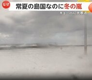 「給料が低すぎる」消防士が窮状訴え…人員不足でパタゴニア山火事は鎮火難航　アメリカでは歴史的大寒波で“仮死状態のイグアナ”続出