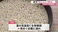 色麻町で今季初の新米等級検査　長雨の懸念よそに全体の９８％が「１等米」と順調な滑り出し〈宮城〉