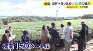 試飲して「パーフェクトなお茶」　NYのバイヤーなどが八女茶を現地視察　世界的な抹茶ブームの中で輸出拡大を　福岡