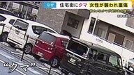 防犯カメラに映るのは...住宅街を走る「クマ」　JR長浜駅から2キロしか離れていない住宅地で女性を襲う　近所の人「こんなこと初めて」
