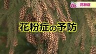 花粉を99％ガードできるマスク着用法を伝授　“時間”と“環境”意識して鼻の粘膜を回復へ【福井発】