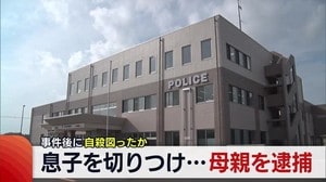 事件後に自殺図ったか 息子を切り付けた母親を逮捕【新潟・佐渡市】