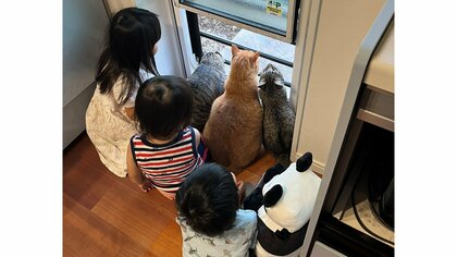 「可愛いが大集合」窓から外を見る猫と3きょうだいの後ろ姿が平和…視線の先には何があった？撮影した父親に聞いた
