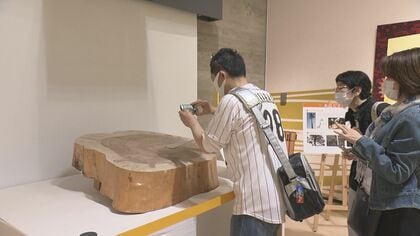 平日でも大行列…大谷翔平の“サイン入り切り株” 名古屋城に展示され話題に